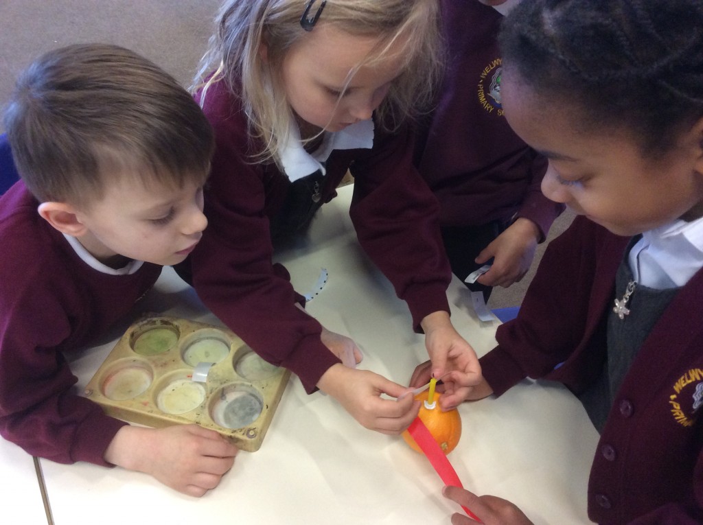 Welwyn St Mary's C of E Primary School » Year 1