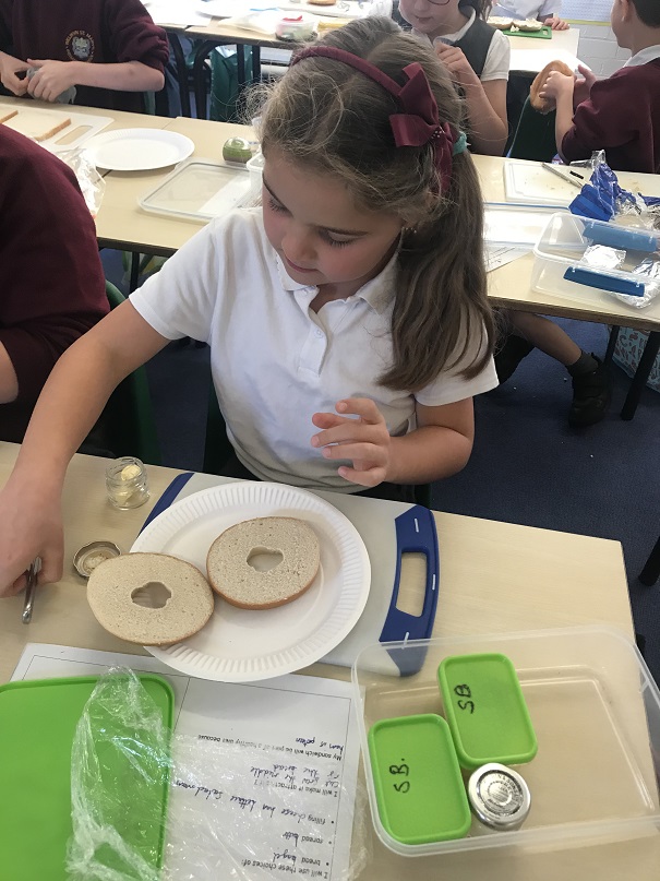 Welwyn St Mary's C of E Primary School » Classes